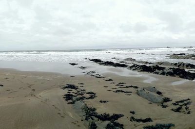 Welcombe beach Devon The quiet beach at Welcombe